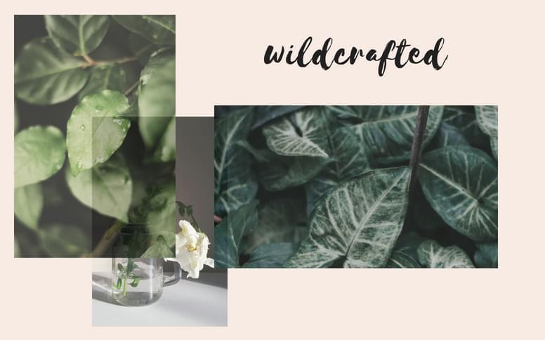 wildcrafted