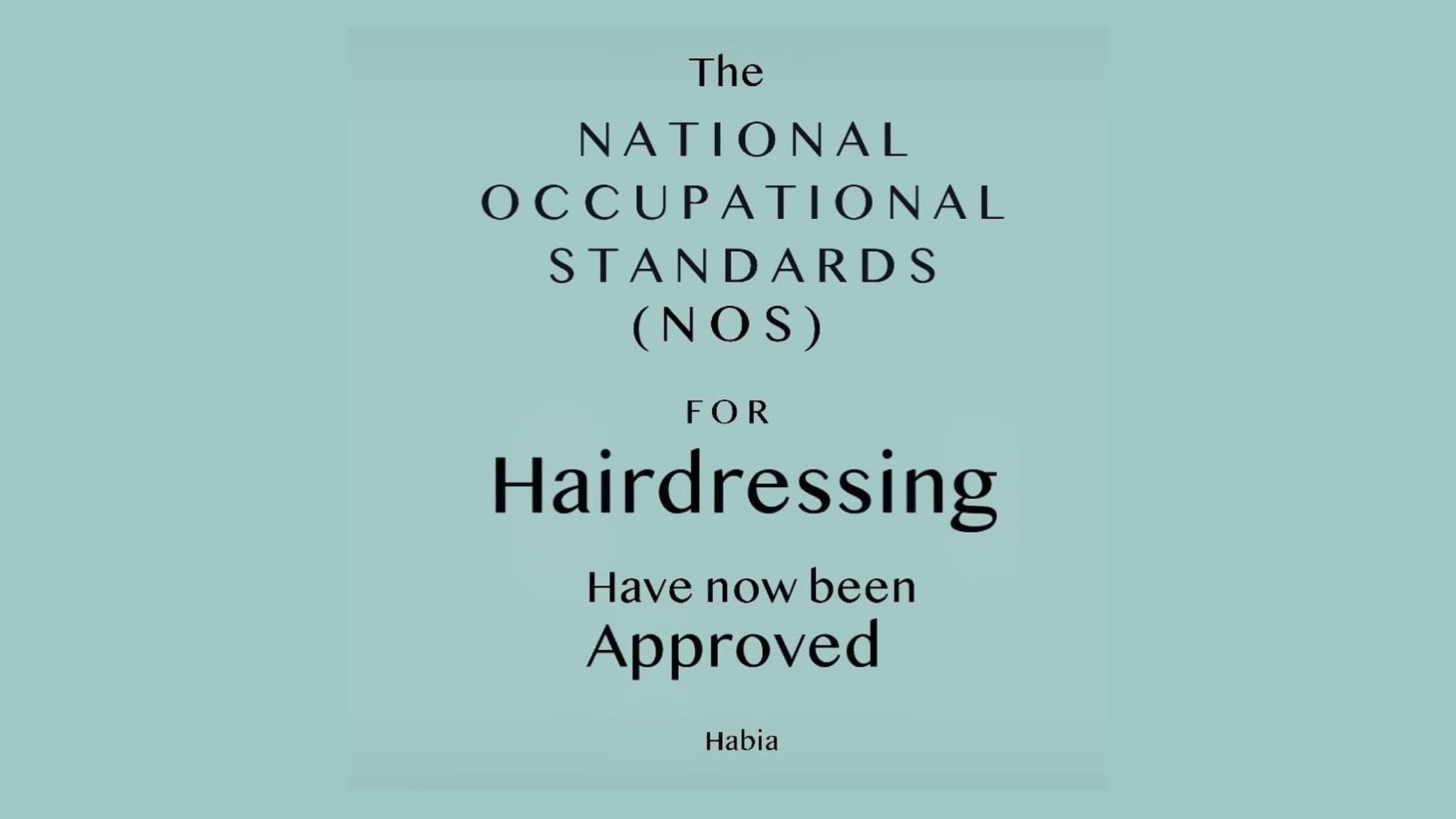 Hair NOS