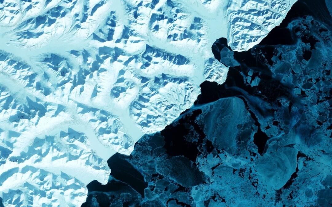 What steps are you taking to green your business this festive season?