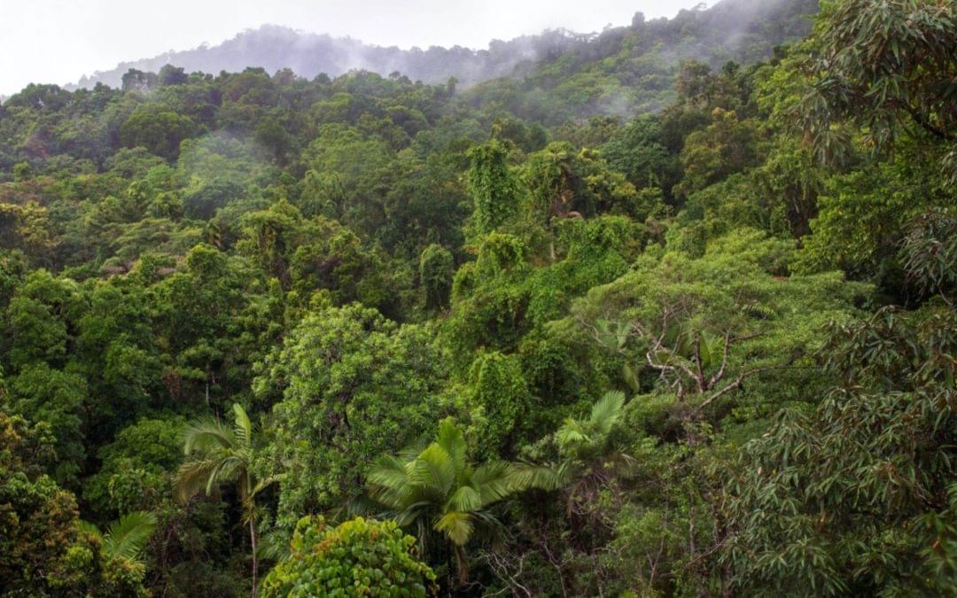 #EarthDay2022: what actions can individuals take?