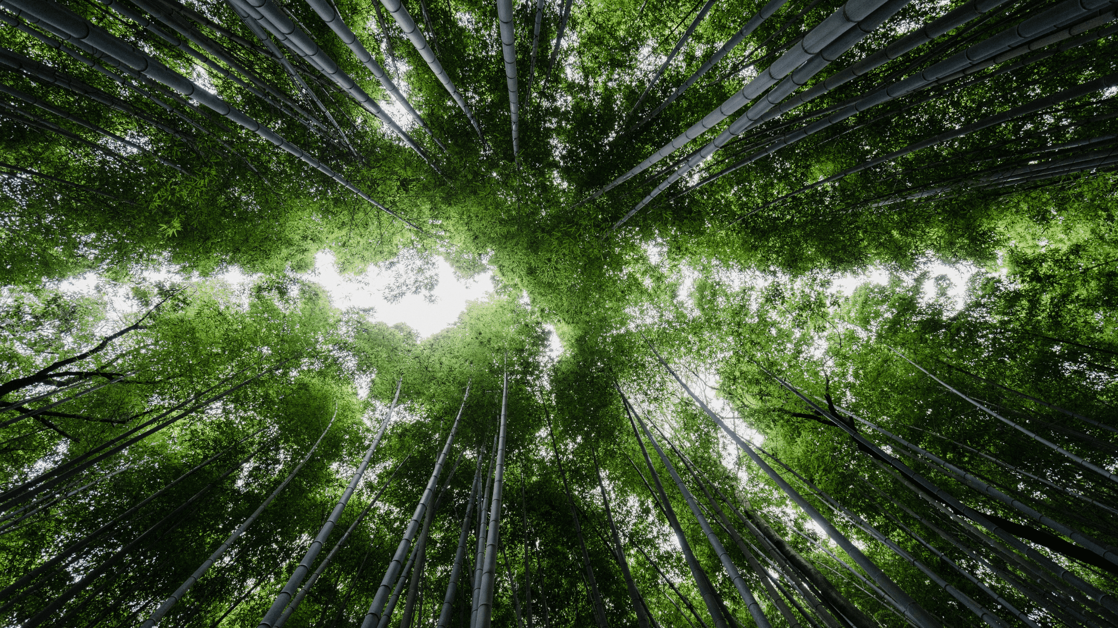 Sustainable Swaps