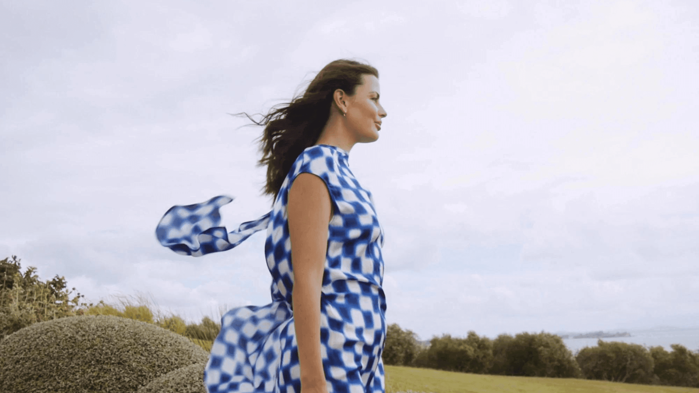 Sustainability Blueprint