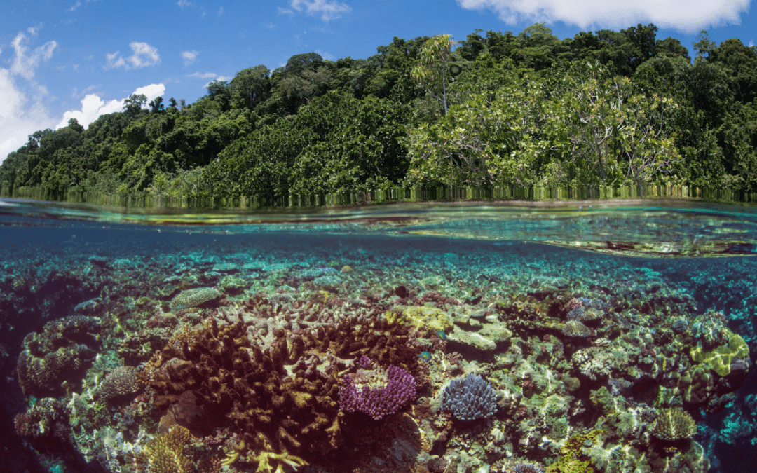 EU Parliament has passed legislation to protect and restore biodiversity, here’s what is means for beauty