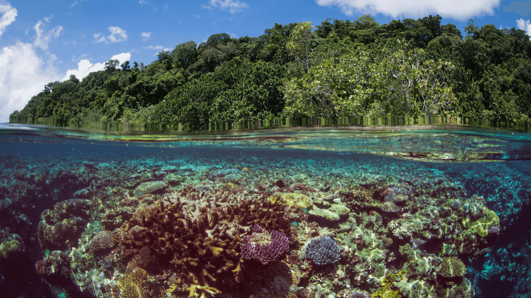 European Parliament's biodiversity legislation