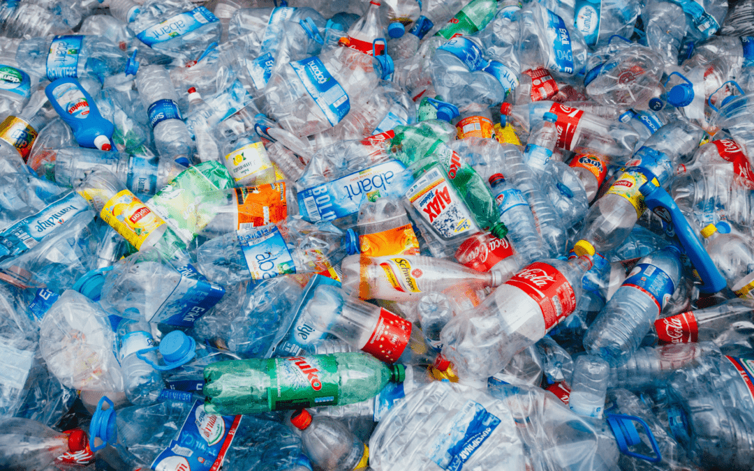 Victoria Brownlie on the Government’s extended single-use plastic ban: ‘I feel confident that the industry can work together to find solutions’