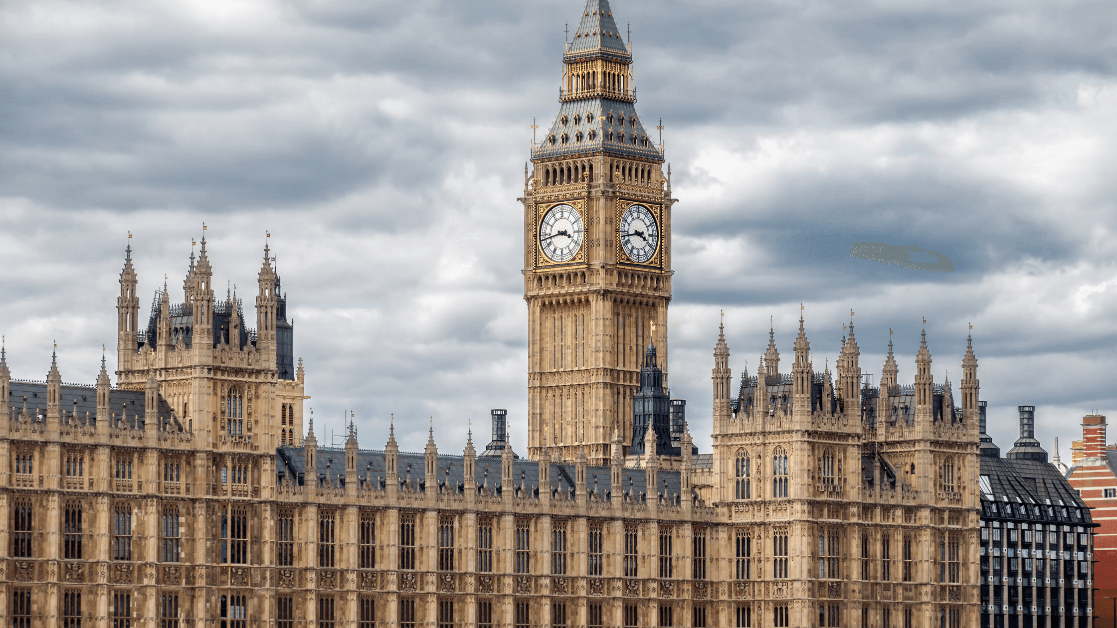 Which government policies could affect the beauty industry?